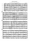 Kleine Festmusik f.V.Pleß u. Pfc Hörner