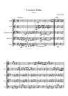 Czechen Polka f. HB5