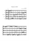 Fantasie a-moll für HB5